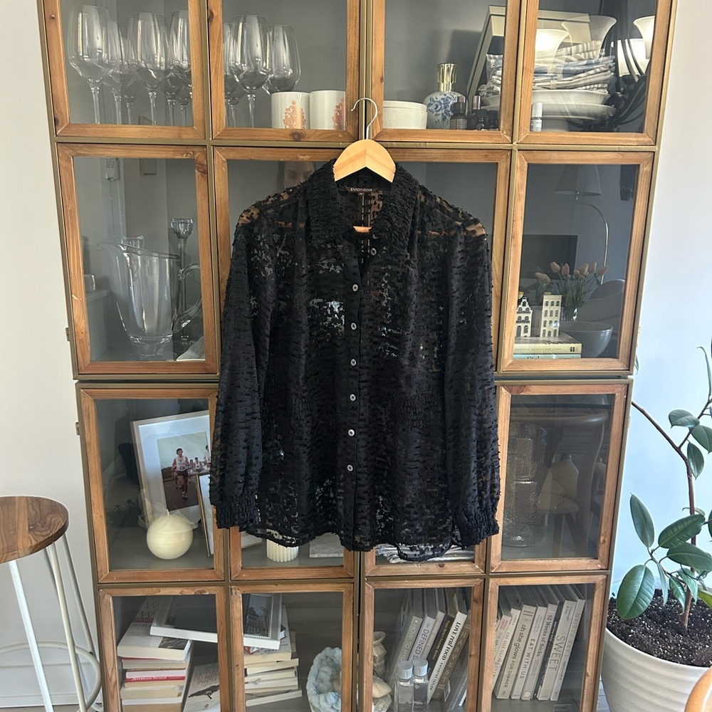 Vintage Black Sheer Button-Up Blouse